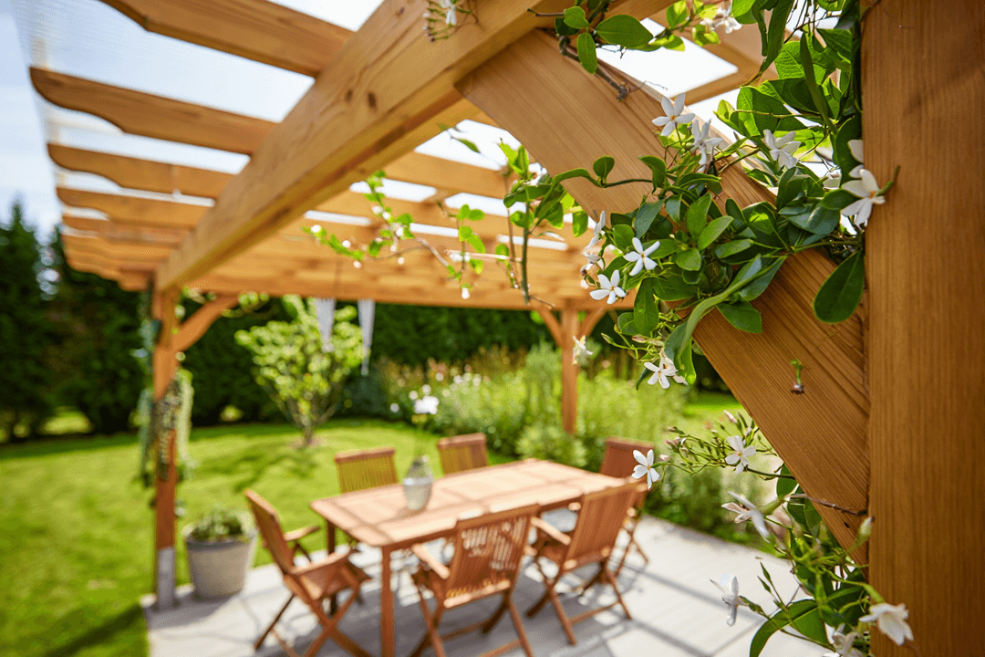 Open timber pergola Canberra — classic beams and natural shade